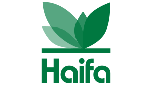 haifa-group-vector-logo